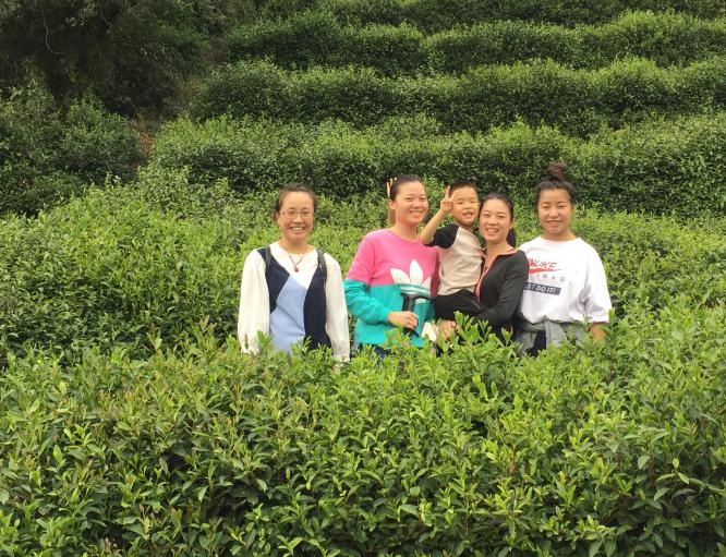 自動(dòng)化檢測(cè)設(shè)備廠家軍嶂古道