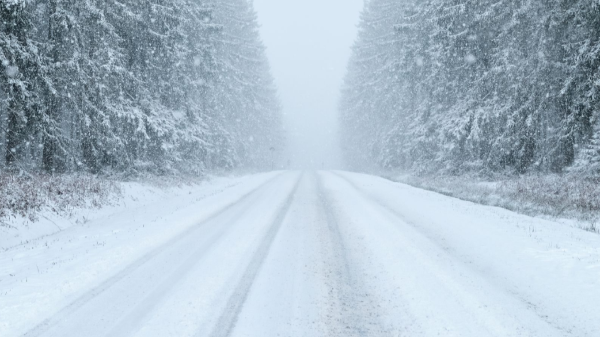 為國內(nèi)中小企業(yè)抗風(fēng)險能力提升而點贊